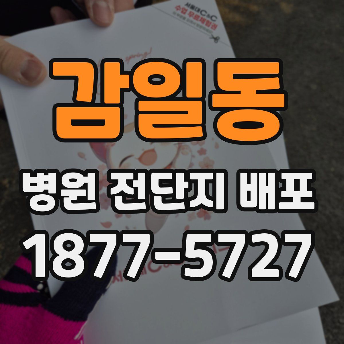 감일동 병원 전단지 배포