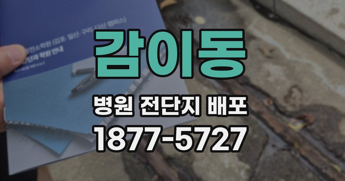 감이동 병원 전단지 배포