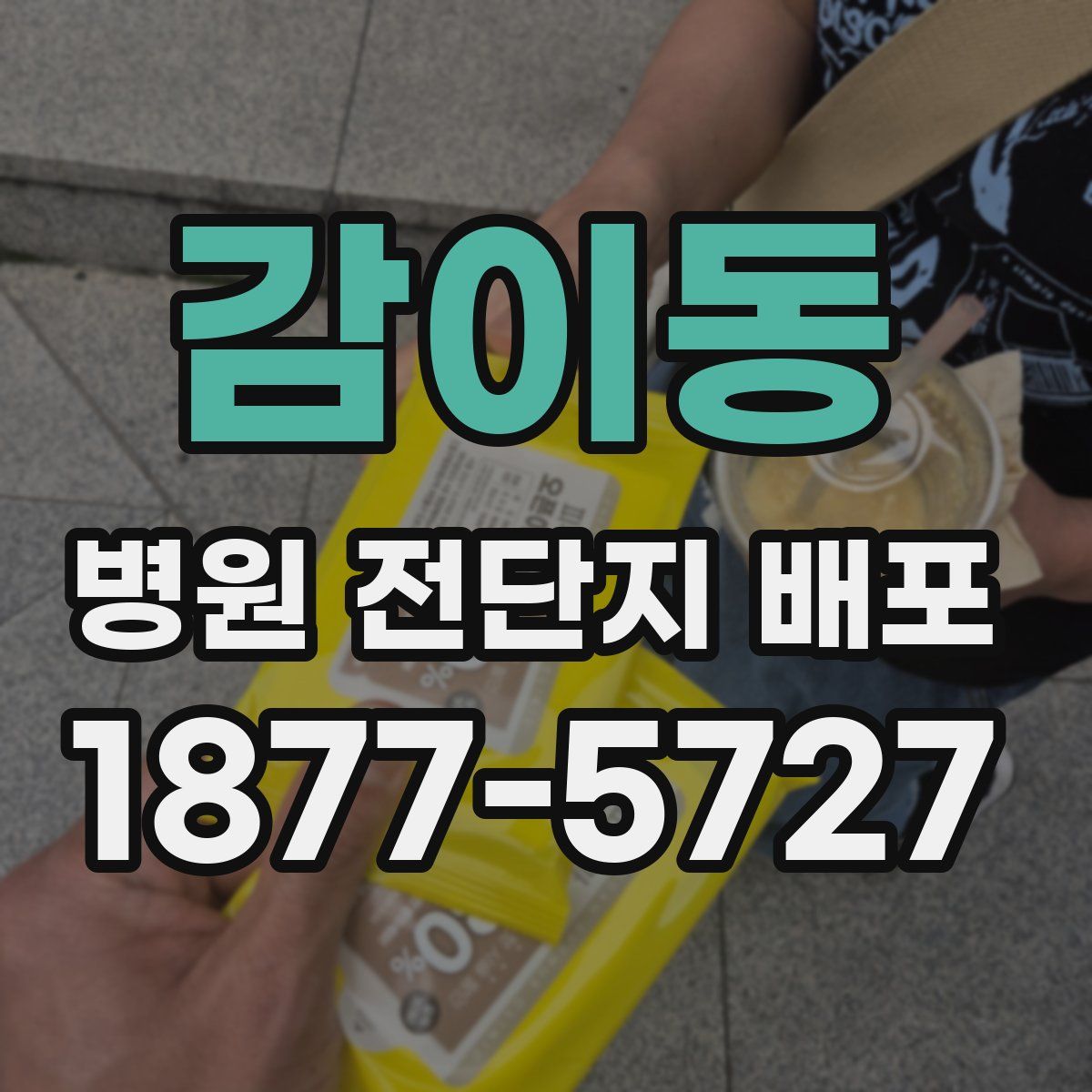 감이동 병원 전단지 배포
