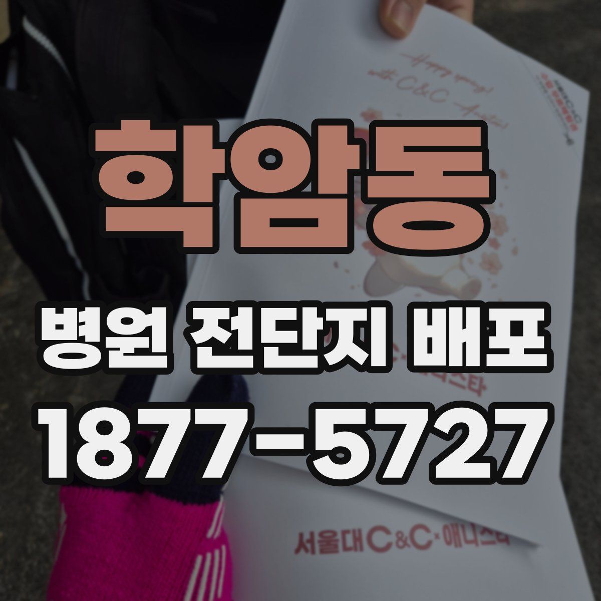 학암동 병원 전단지 배포