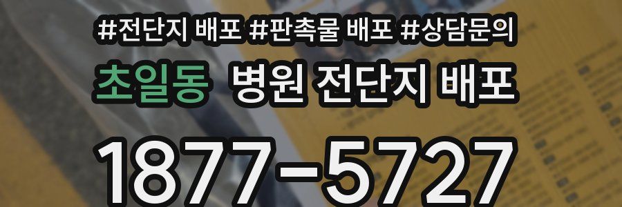 초일동 병원 전단지 배포