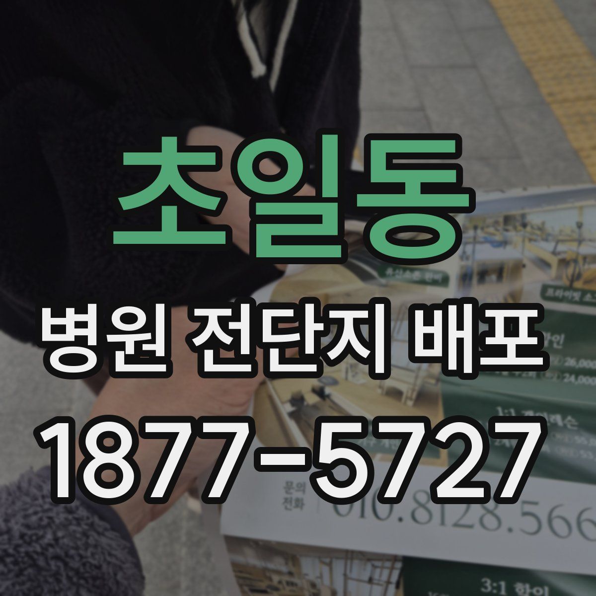초일동 병원 전단지 배포