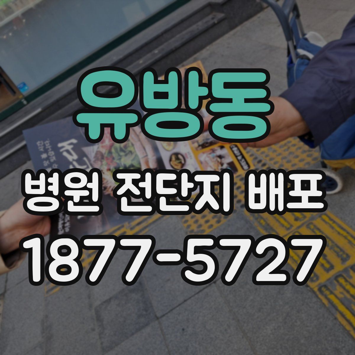 유방동 병원 전단지 배포