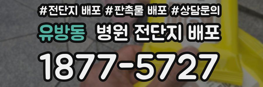 유방동 병원 전단지 배포
