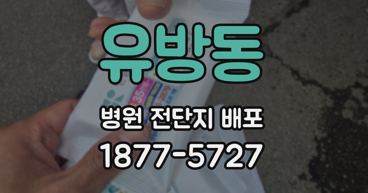 유방동 병원 전단지 배포