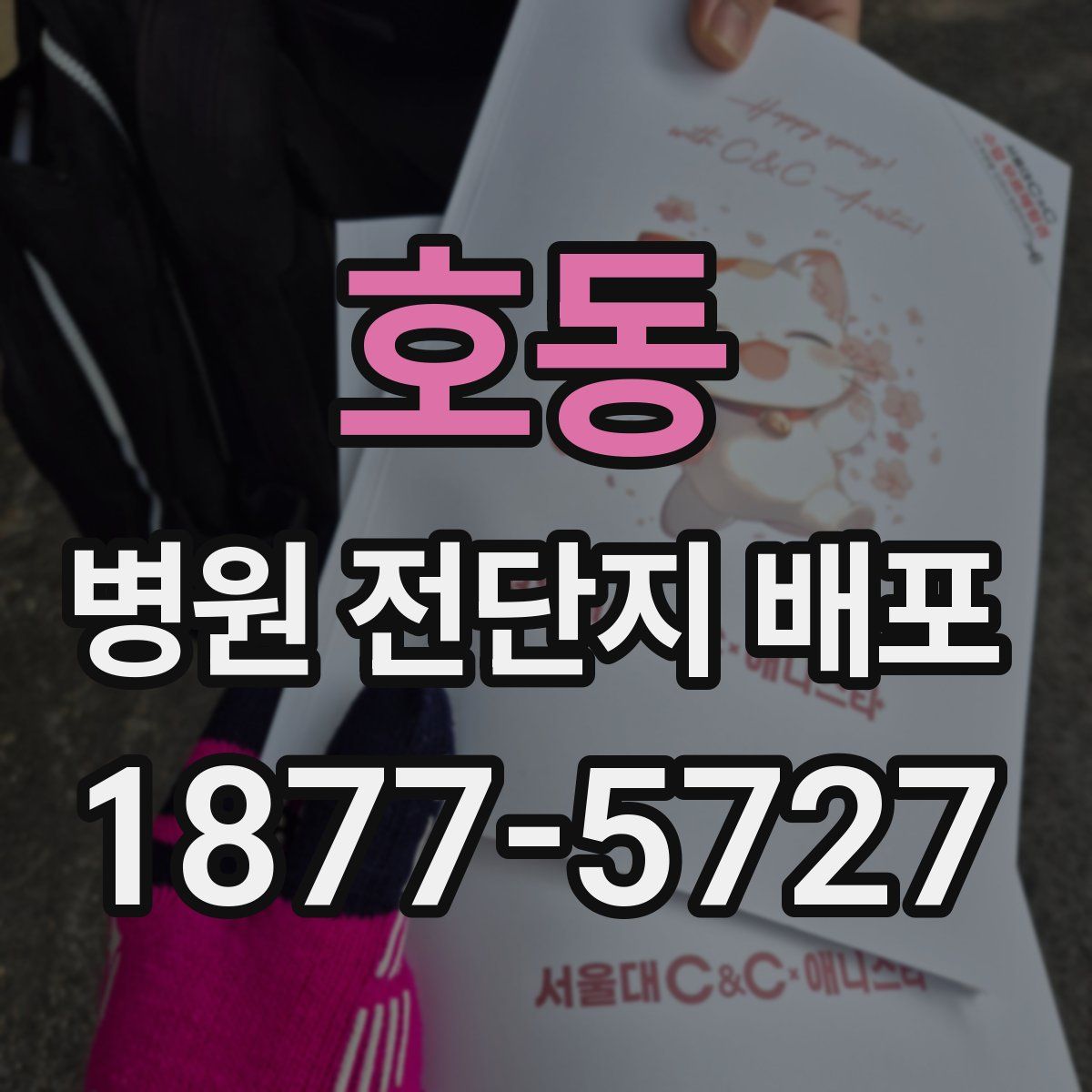 호동 병원 전단지 배포