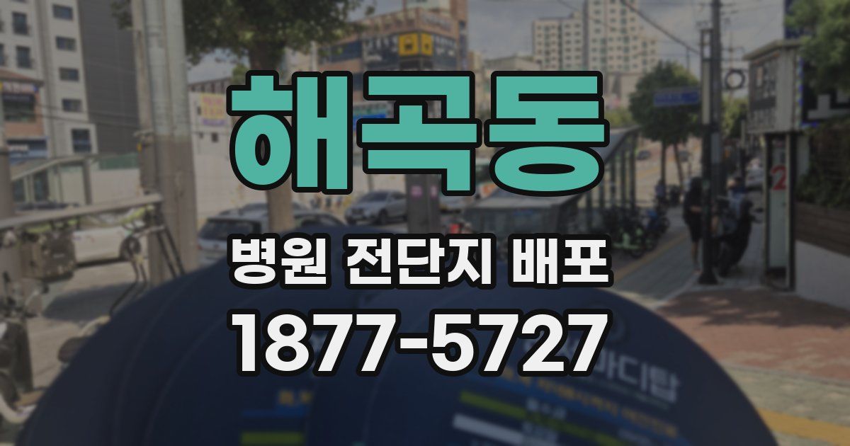 해곡동 병원 전단지 배포