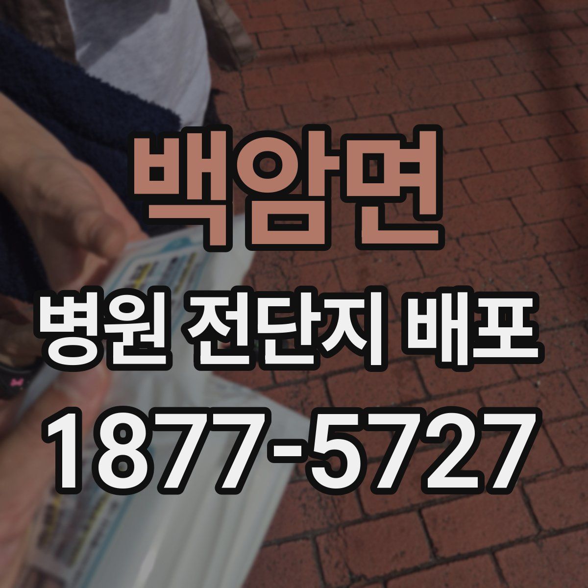 백암면 병원 전단지 배포