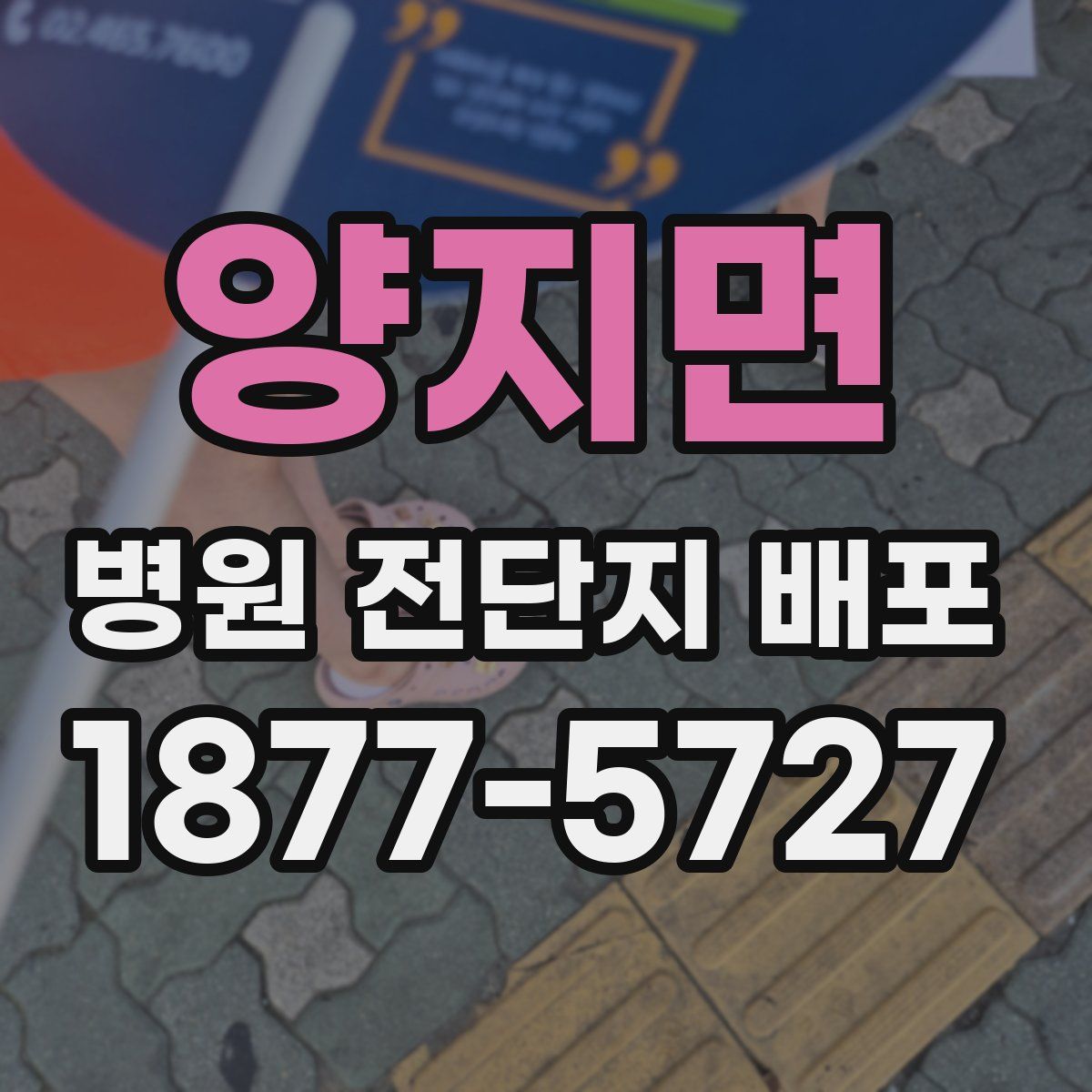 양지면 병원 전단지 배포
