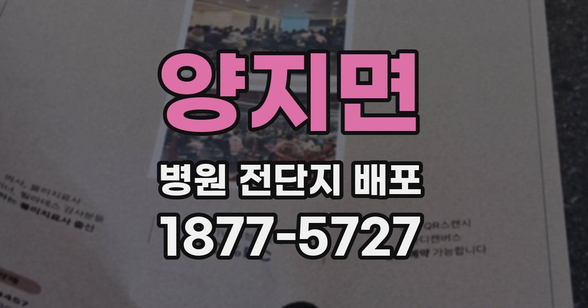 양지면 병원 전단지 배포