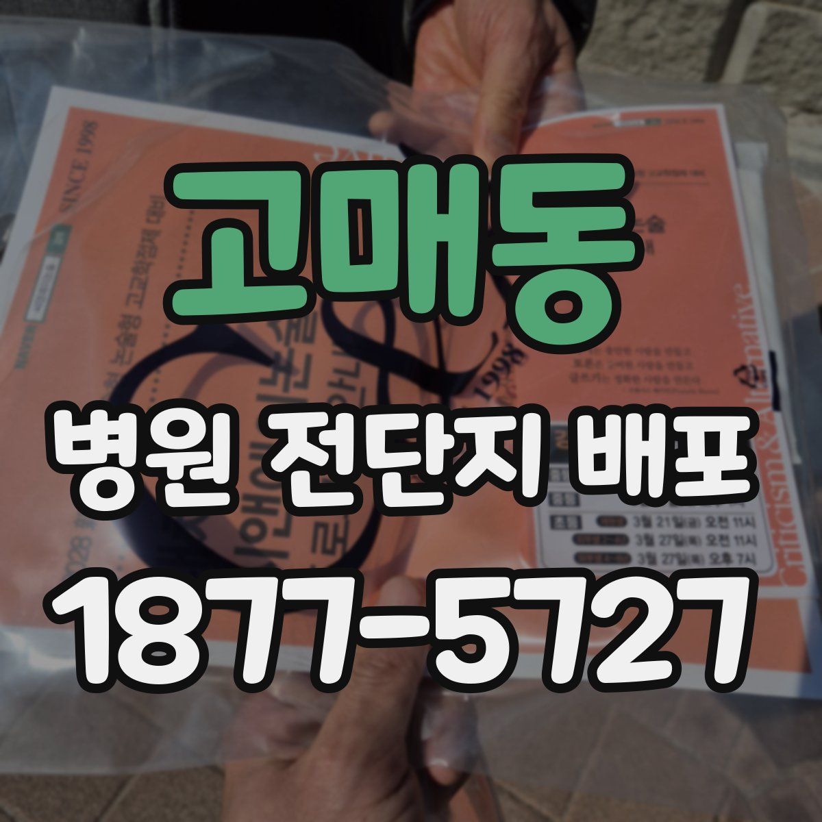 고매동 병원 전단지 배포