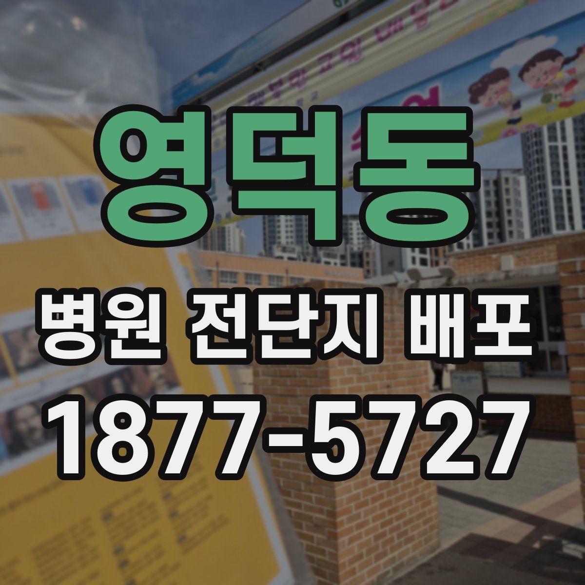 영덕동 병원 전단지 배포