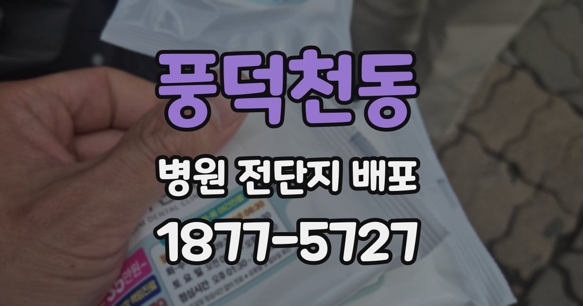 풍덕천동 병원 전단지 배포