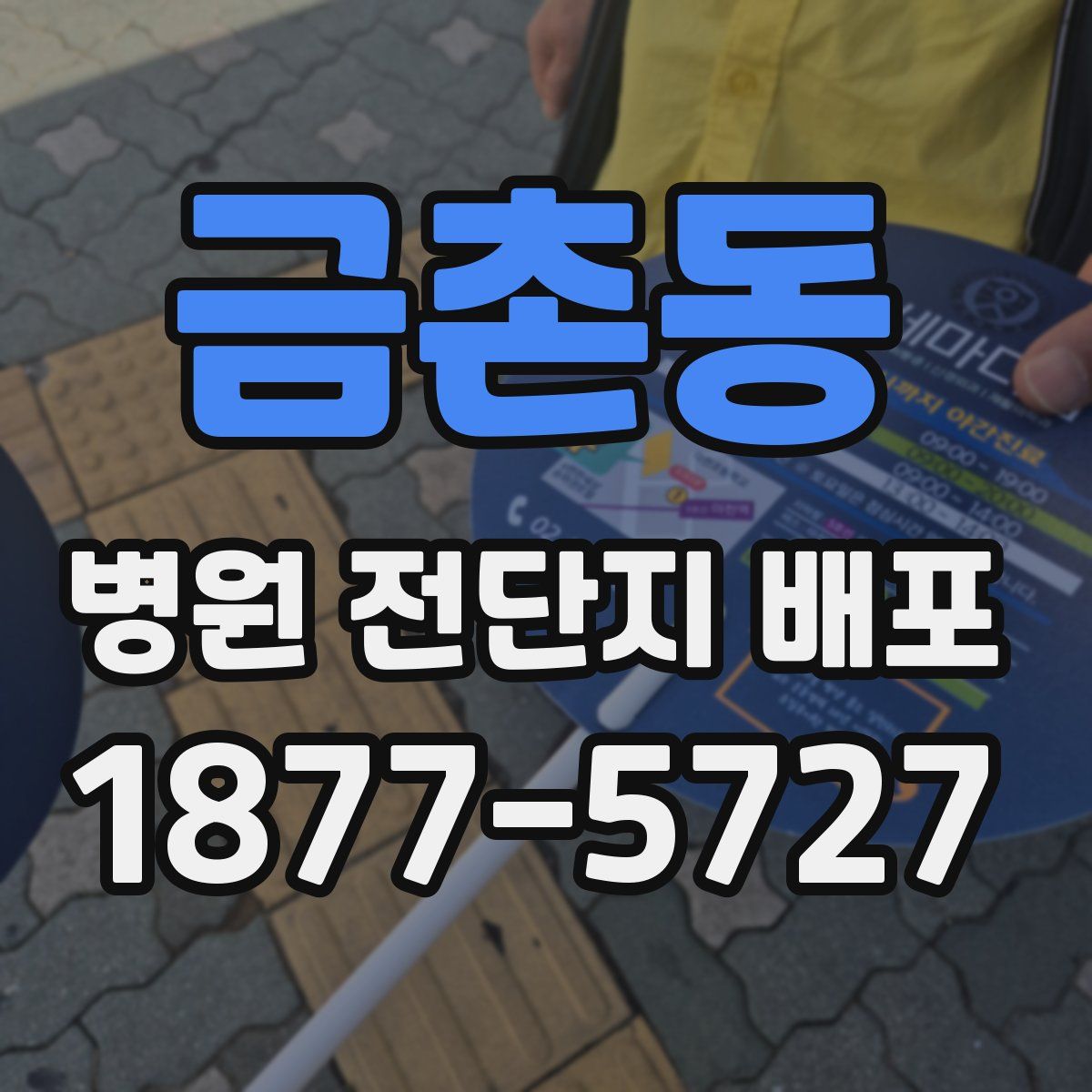 금촌동 병원 전단지 배포