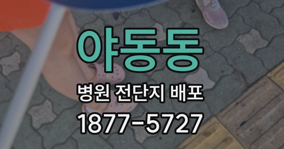 야동동 병원 전단지 배포