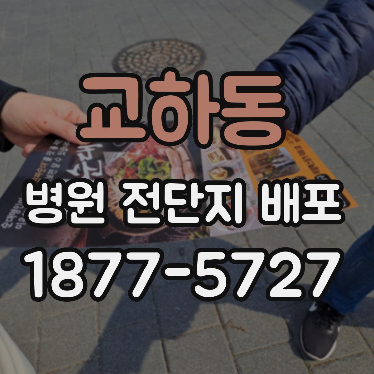 교하동 병원 전단지 배포