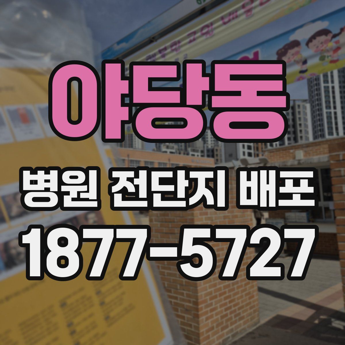 야당동 병원 전단지 배포