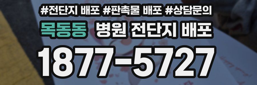 목동동 병원 전단지 배포