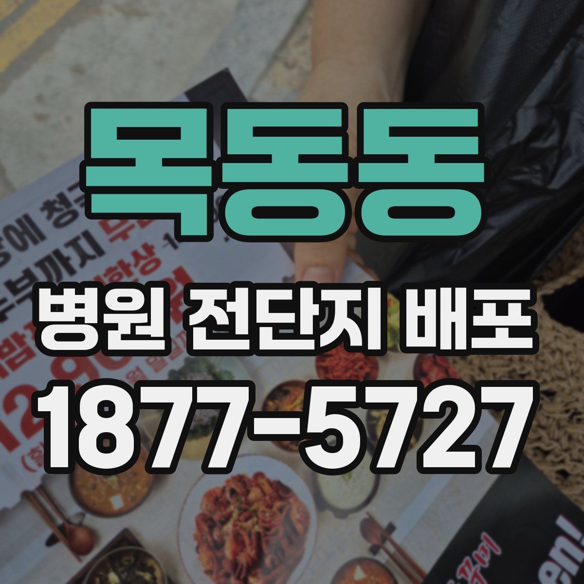 목동동 병원 전단지 배포