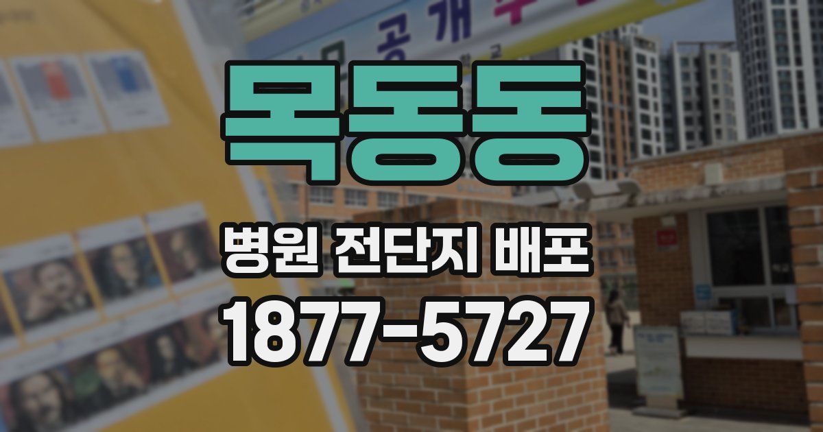 목동동 병원 전단지 배포