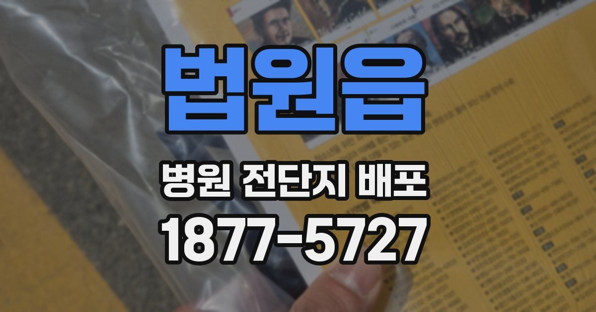 법원읍 병원 전단지 배포