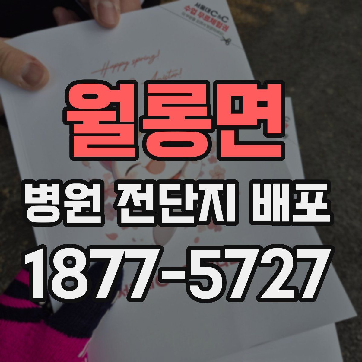 월롱면 병원 전단지 배포