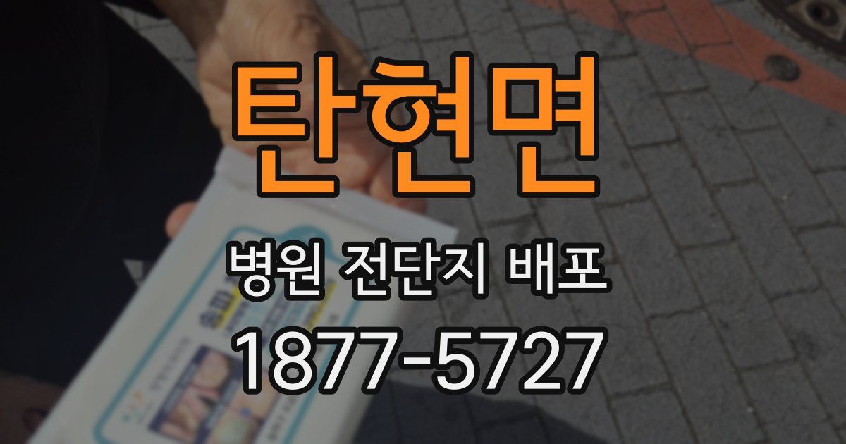 탄현면 병원 전단지 배포