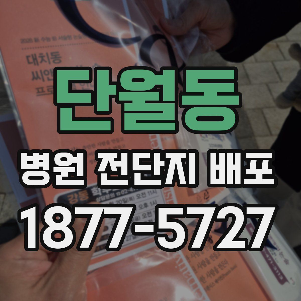 단월동 병원 전단지 배포