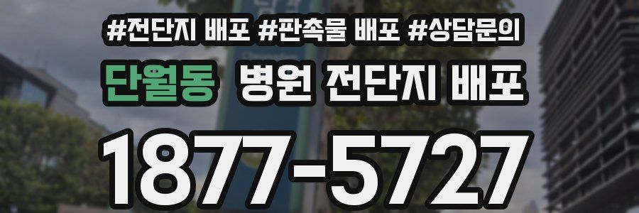 단월동 병원 전단지 배포