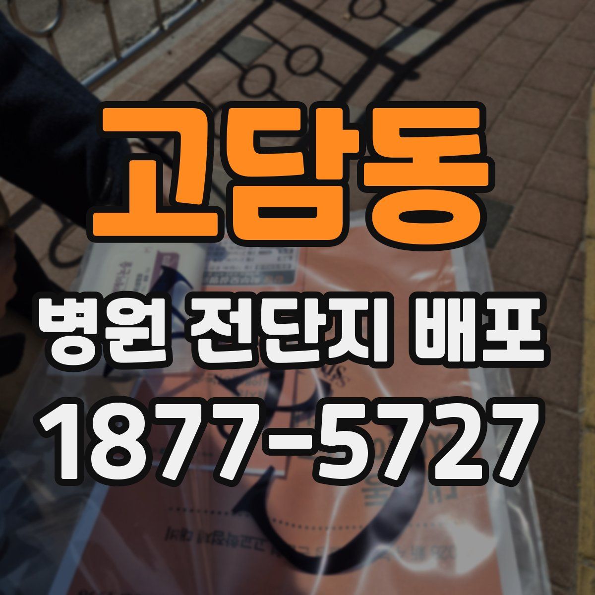 고담동 병원 전단지 배포