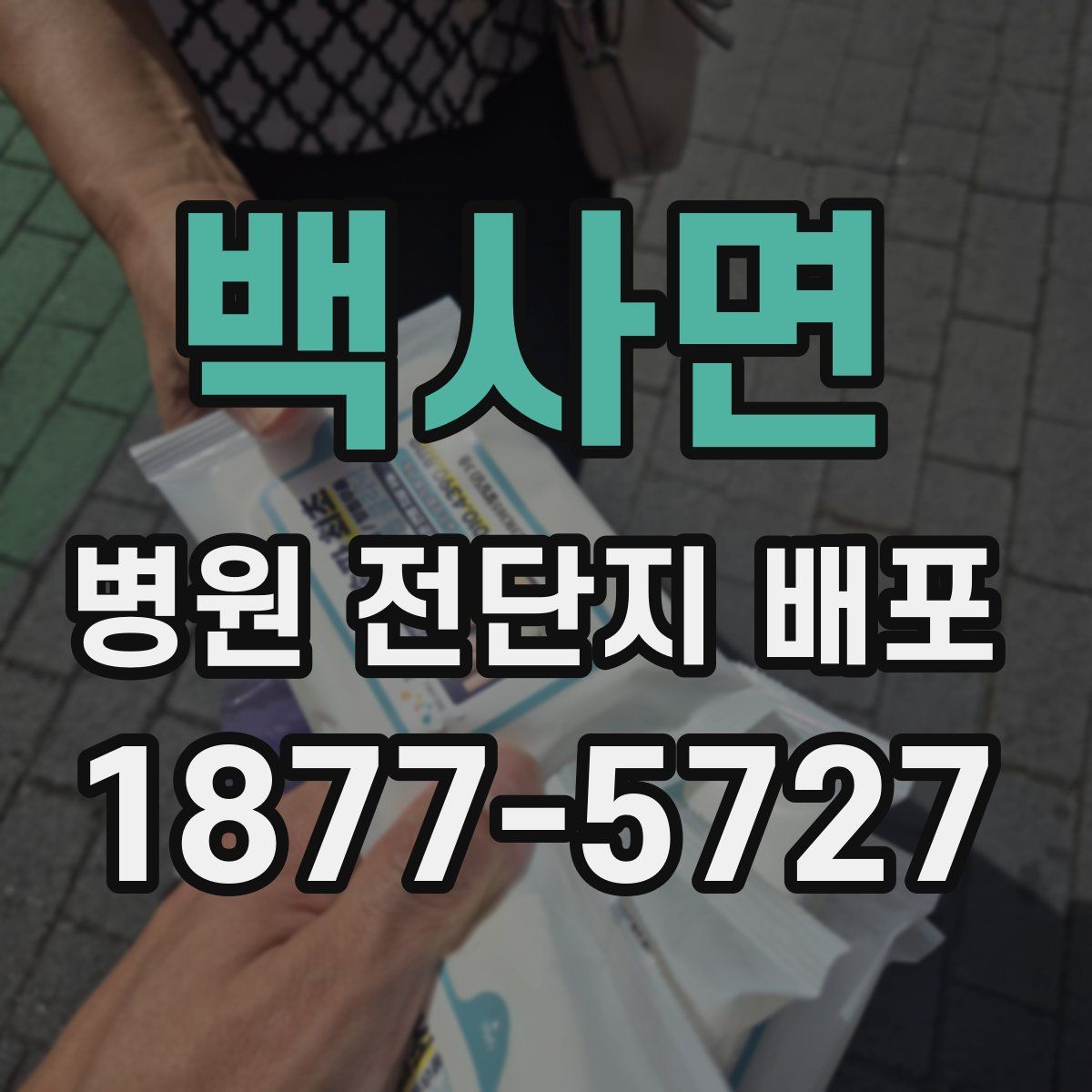 백사면 병원 전단지 배포