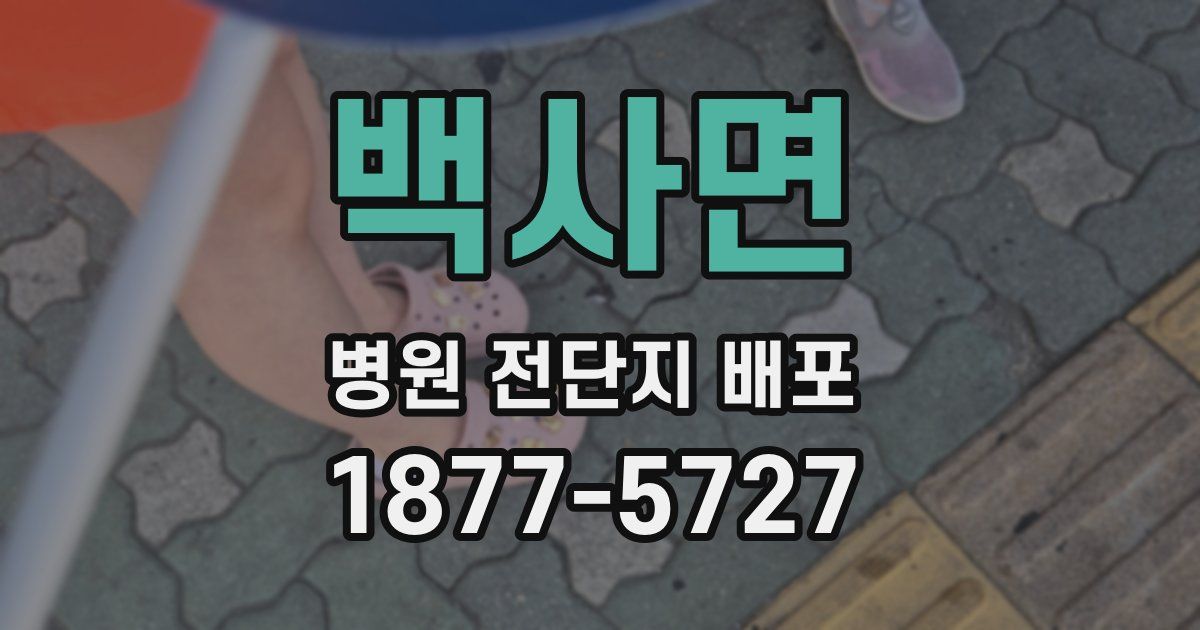 백사면 병원 전단지 배포