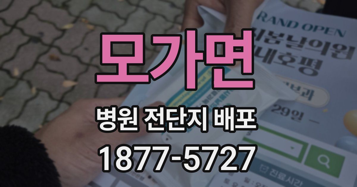 모가면 병원 전단지 배포