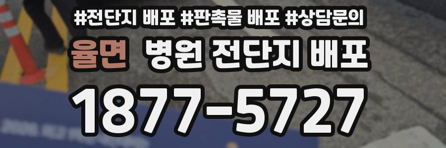 율면 병원 전단지 배포