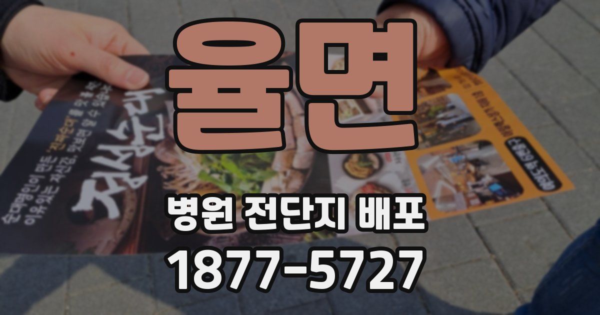 율면 병원 전단지 배포