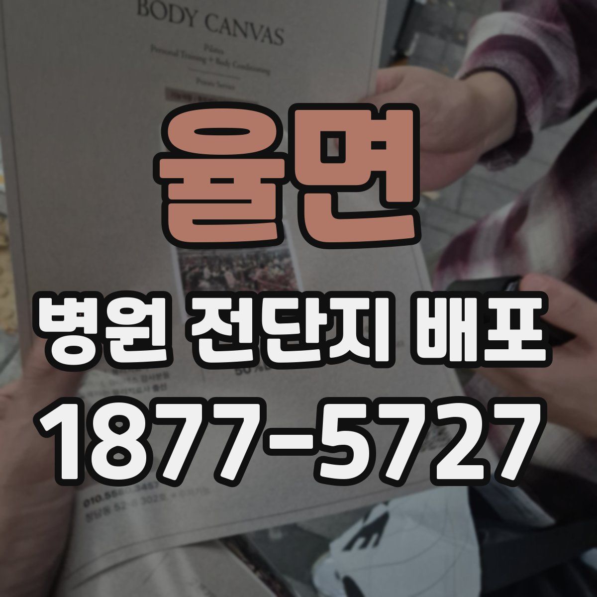 율면 병원 전단지 배포