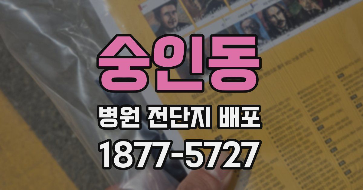 숭인동 병원 전단지 배포