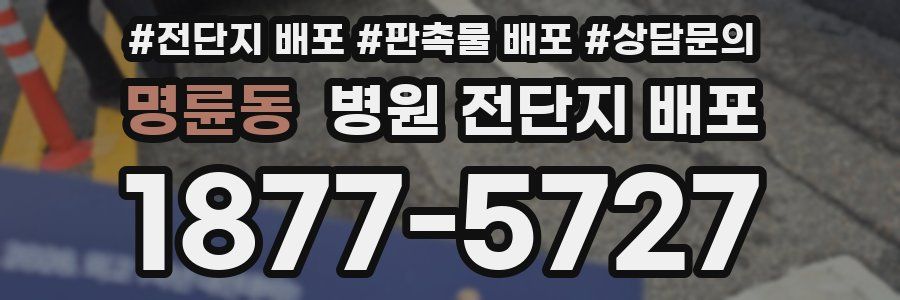 명륜동 병원 전단지 배포