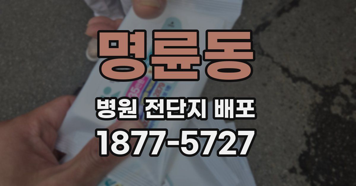 명륜동 병원 전단지 배포