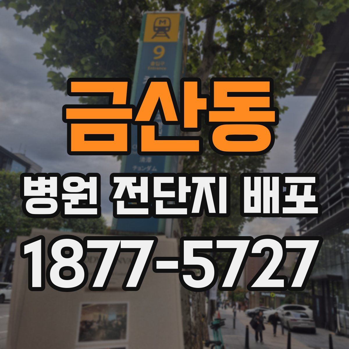 금산동 병원 전단지 배포