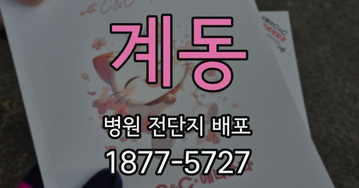 계동 병원 전단지 배포