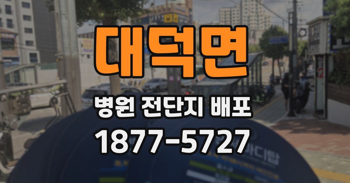 대덕면 병원 전단지 배포