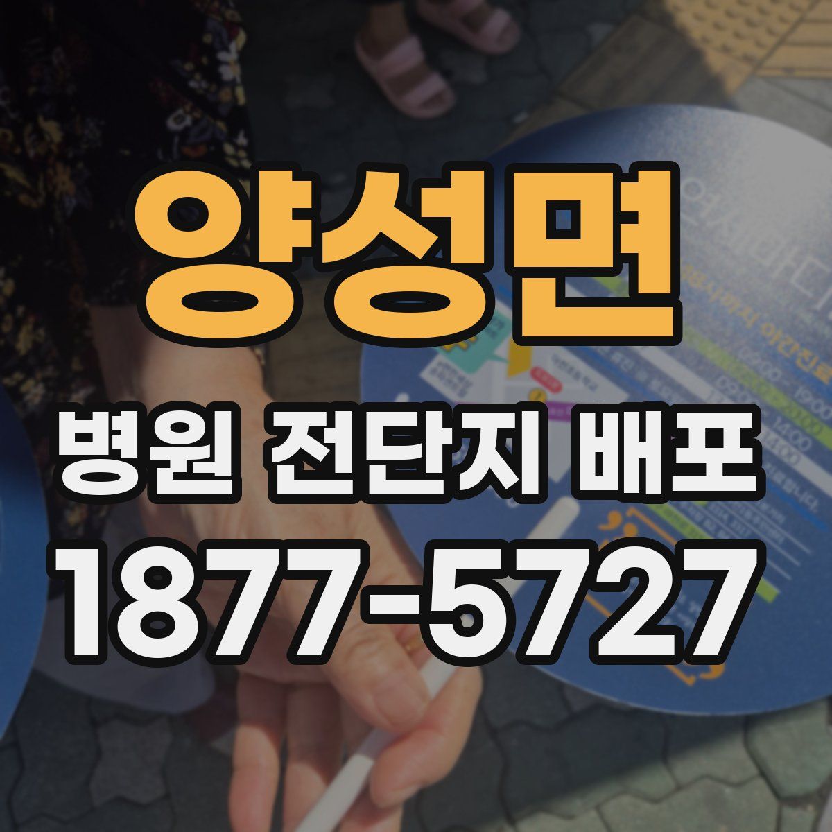 양성면 병원 전단지 배포