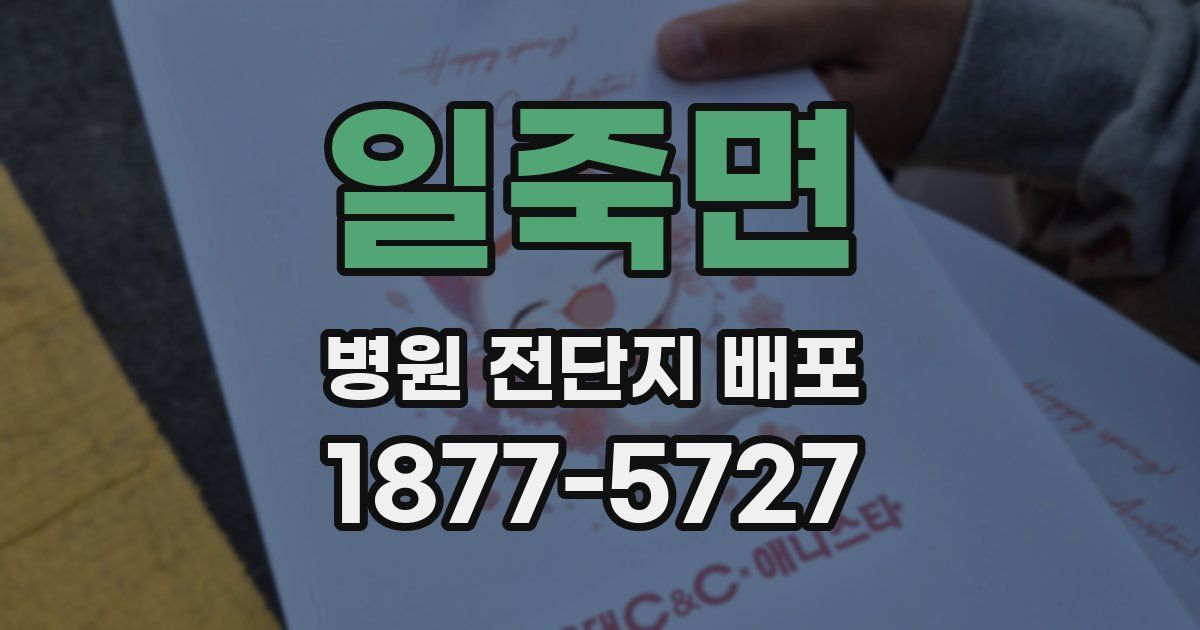 일죽면 병원 전단지 배포