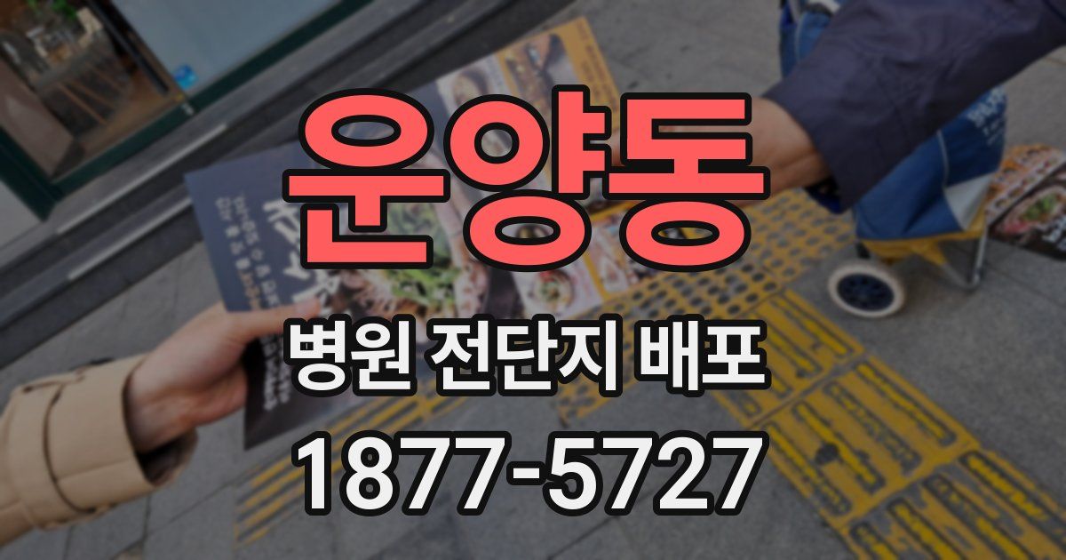운양동 병원 전단지 배포