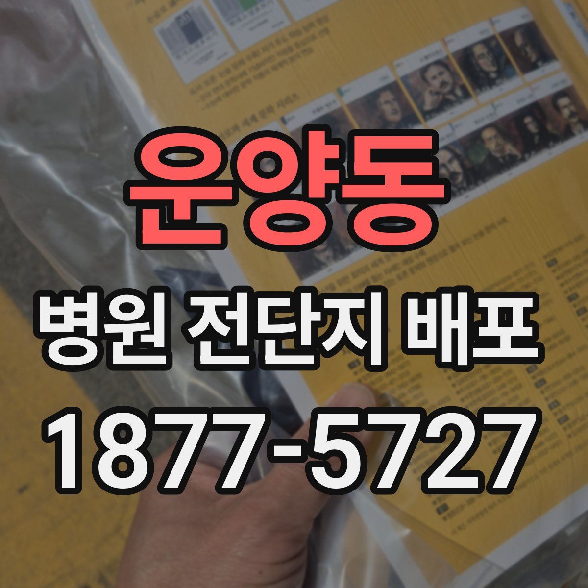운양동 병원 전단지 배포