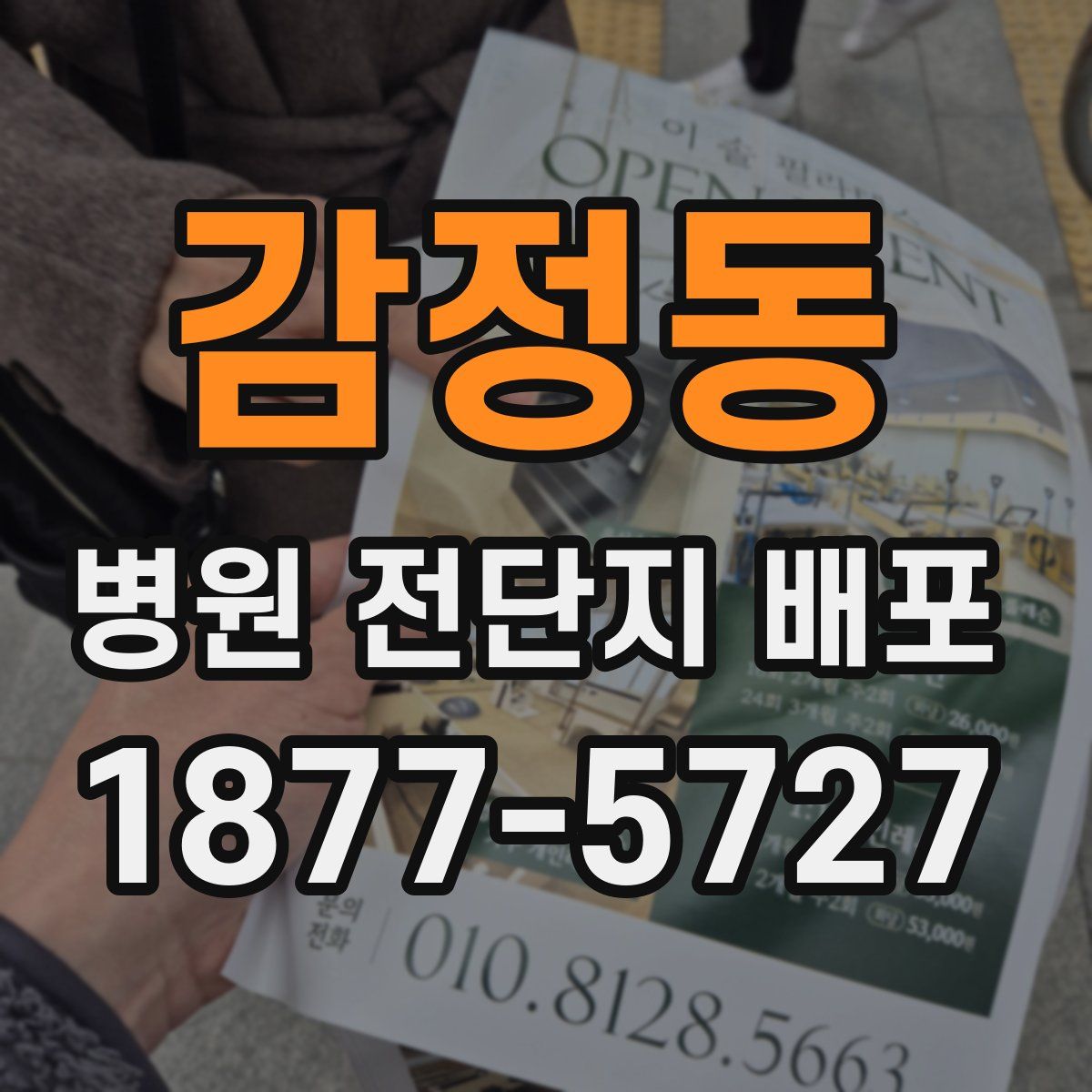 감정동 병원 전단지 배포