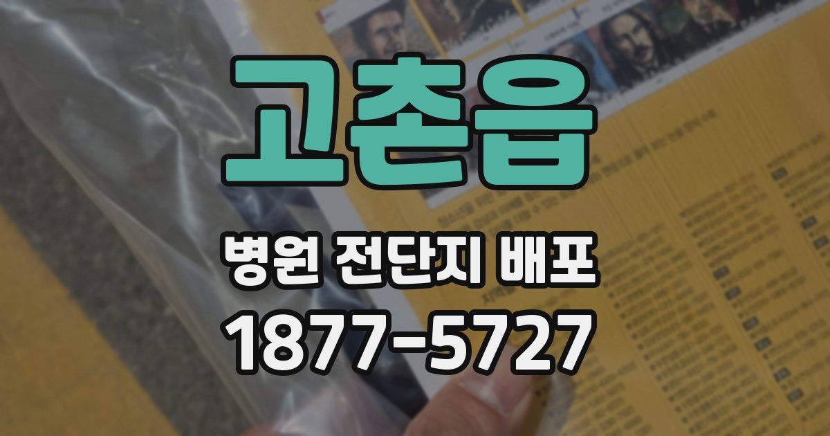 고촌읍 병원 전단지 배포