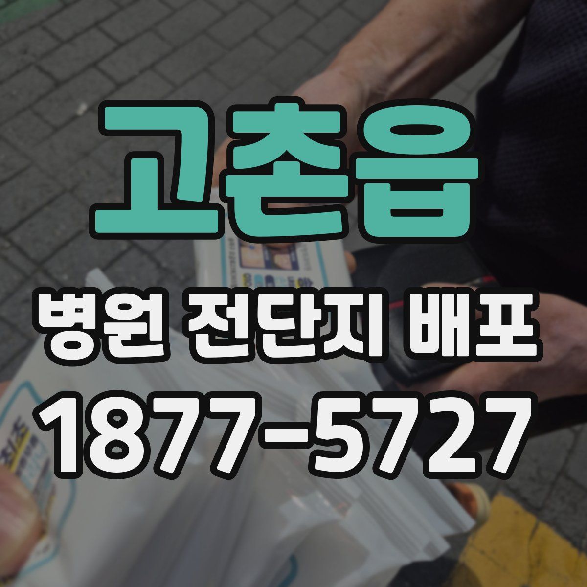 고촌읍 병원 전단지 배포