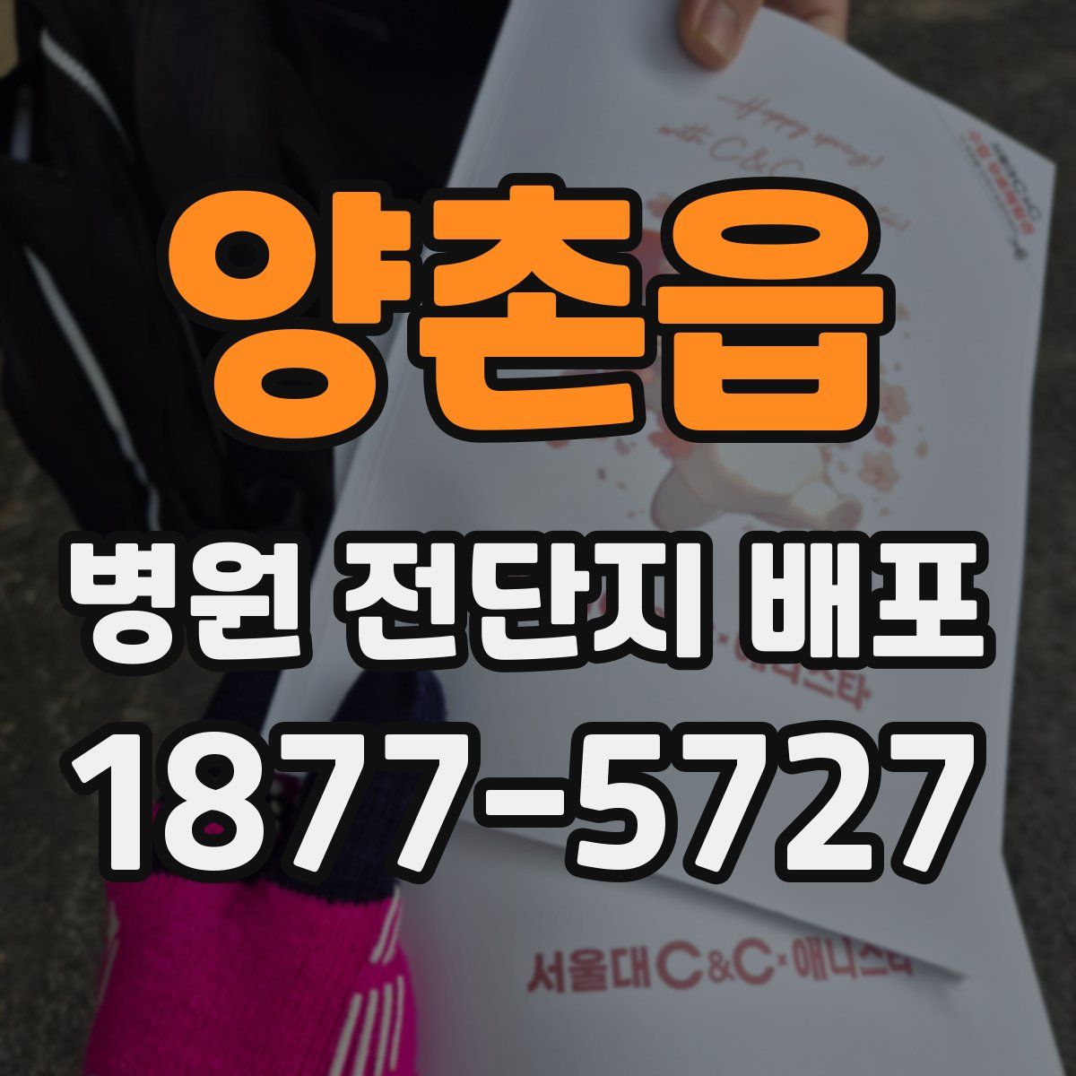양촌읍 병원 전단지 배포